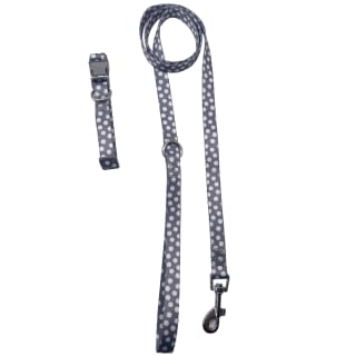 387070-puppy-collar-and-lead-set-5