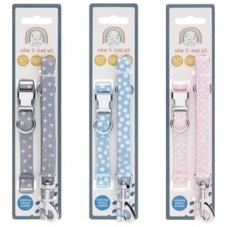 387070-puppy-collar-and-lead-set-group