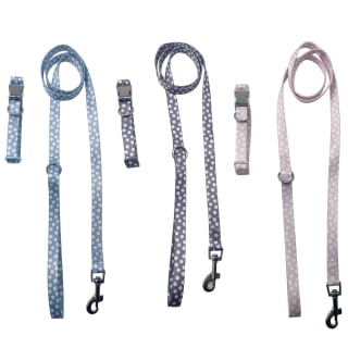 387070-puppy-collar-and-lead-set-group