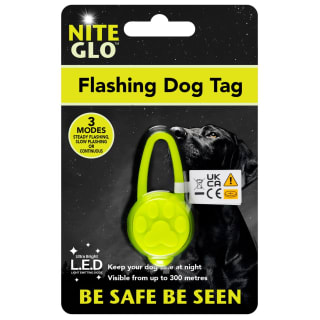 387280-nit-glo-flashing-dog-tag