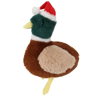 Festive Honking Bird Toy - Duck