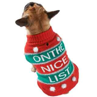 Extra-Large Christmas Pet Jumper - On the Nice List