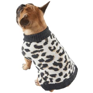 Perfect Paws Dog Jumper Medium - Assorted