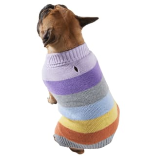 387481-387493-387499-387501-dog-jumper-stripes