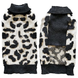 387493-dog-jumpers-m-leopard