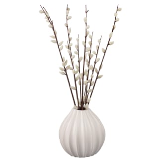 Pussy Willow in White Vase