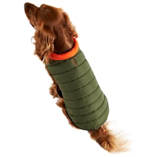 387689-387692-387693-387694-dog-reverse-puffa-green-orange