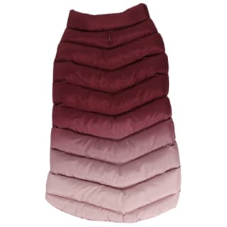 387694-puffa-dog-coat-xl