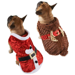 387727-387730-387733-387737-dress-up-s-m-l-xl-group