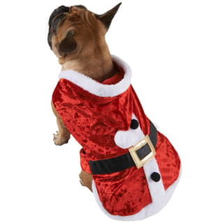 Medium Christmas Dog Outfit - Santa