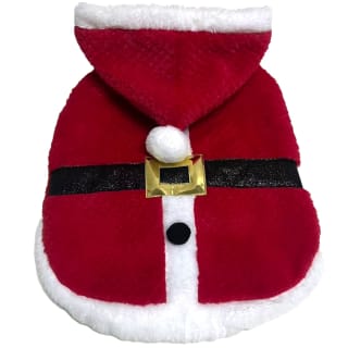 Small Christmas Dog Outfit - Santa