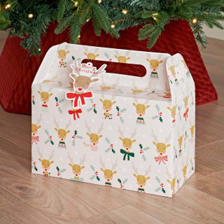 387894-2pk-foldable-carry-gift-boxes-reindeer