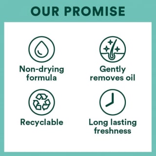 403826-403826-379199-379200-379201-379202-379203-batiste-additional-image