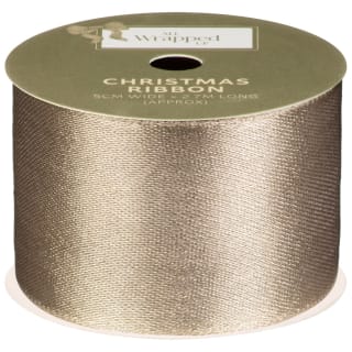 388717-2_7m-ribbon-champagne-5