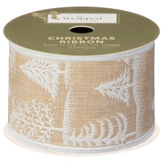 388717-2_7m-ribbon-champagne