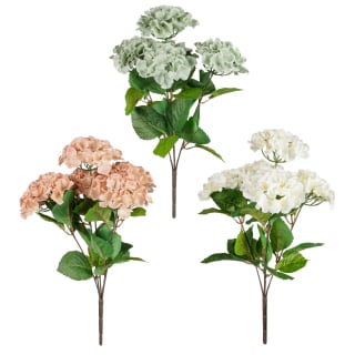 389095-hydrangea-bunche-group