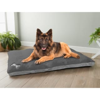 389152-memory-foam-xl-hund-bed