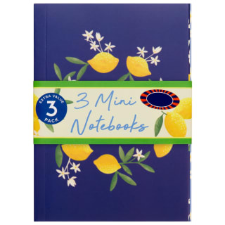 389537-3pk-mini-fashion-notebooks-squeeze-the-day