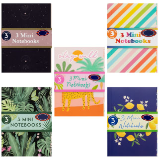 389537-3pk-mini-fashion-notebooks-stay-wild