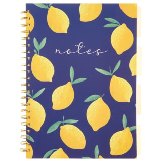 A4 Project Notebook - Lemons