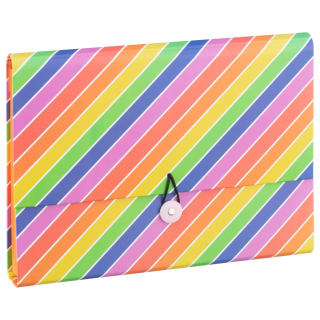 390717-fashion-expanding-file-multicolour