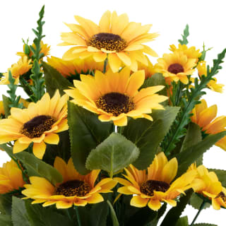 390732-large-bunch-sunflower-2