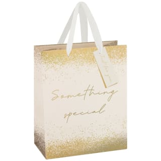 390738-occasions-gift-bag-something-special