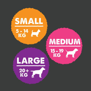 391221-391223-cheese-dog-chew-2