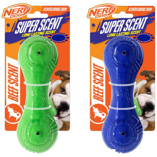 391308-nerf-dog-super-scent