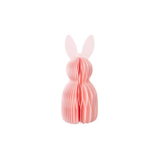 392463-3pk-honeycomb-bunnies-6
