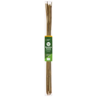 393162-15-pack-110cm-bamboo-canes