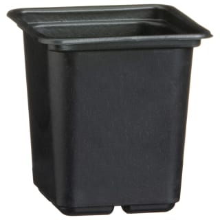 Black Plant Pots 15pk