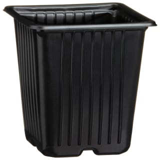 Black Plant Pots 12pk