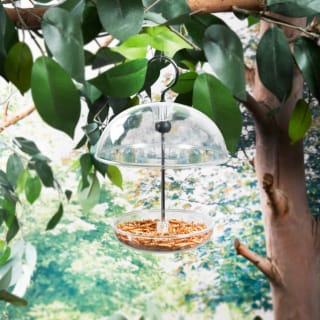 394185-dome-robin-bird-feeder1