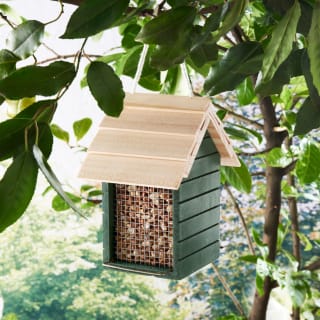 394187-beach-hut-birdfeeder-peanut