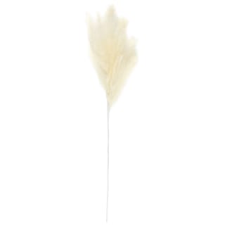 Pampas Stem - Cream