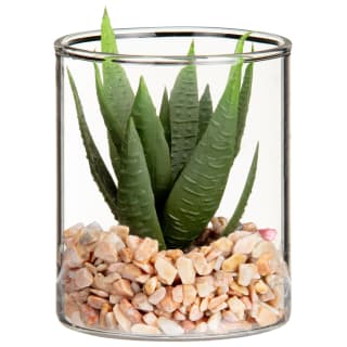 394481-small-succulent-in-glass-vessel