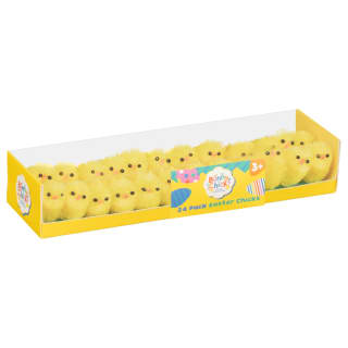 Easter Chicks 24pk - Yellow