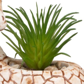 394665-giraffe-succulent-2