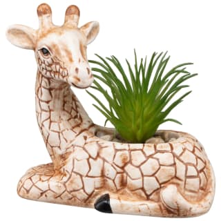 394665-giraffe-succulent