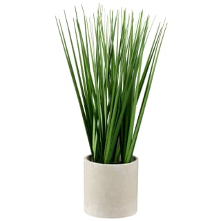 Long Grass In Pot
