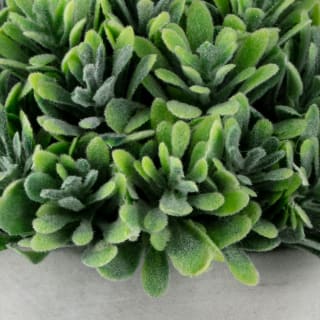 394692-bush-in-stone-pot-2