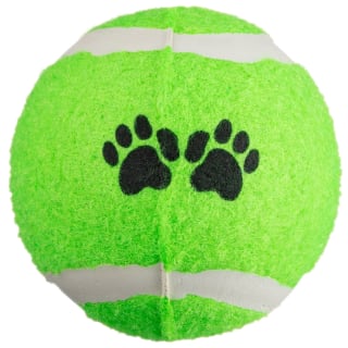 394748-10pk-summer-mega-ball-green