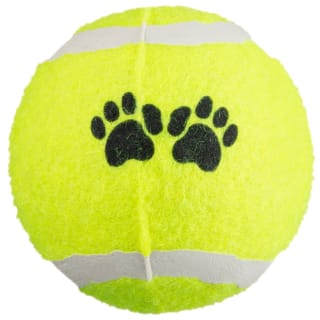 394748-10pk-summer-mega-ball-yellow