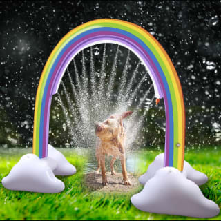 394771-doggy-sprinkler-tunnel1