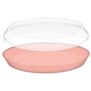 394984-food-tray-with-lid
