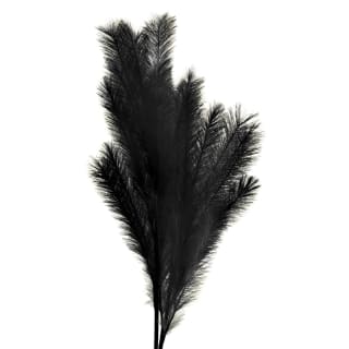 395541-pamas-stem-black-2