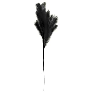Pampas Stem - Black