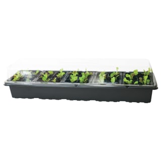 5-Tray Windowsill Greenhouse Set