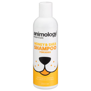Animology Dog Shampoo 250ml - Honey & Shea